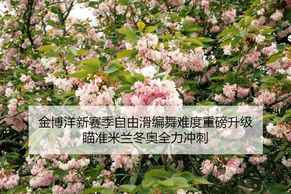 jin-bo-yang-xin-sai-ji-zi-you-hua-bian-wu-nan-du-zhong-bang-sheng-ji-miao-zhun-mi-lan-dong-ao-quan-li-chong-ci-2-372.jpg