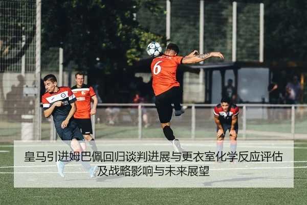 huang-ma-yin-jin-mu-ba-pei-hui-gui-tan-pan-jin-zhan-yu-geng-yi-shi-hua-xue-fan-ying-ping-gu-ji-zhan-lve-ying-xiang-yu-2-402.jpg